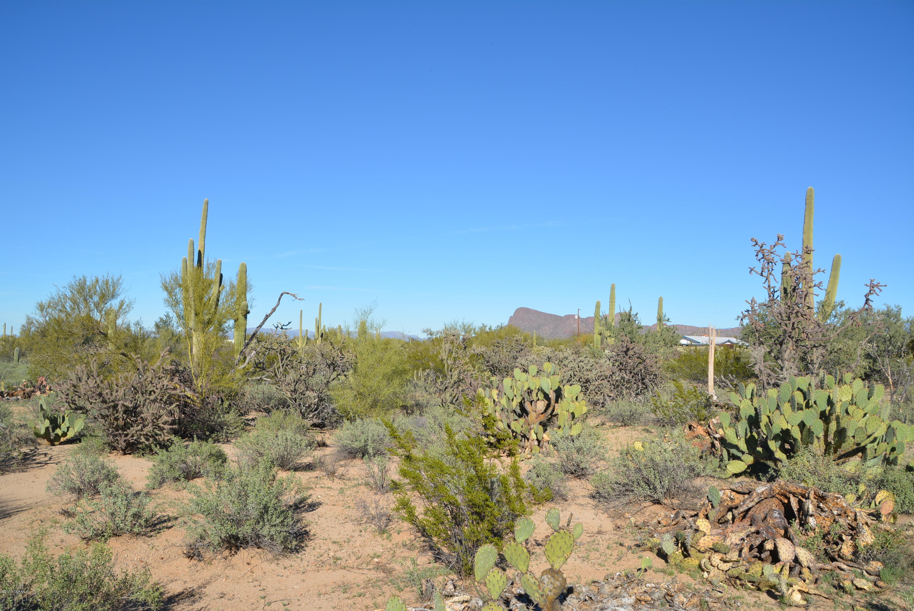 11700 West Rudasill Road, Unit LOT 3 Tucson, AZ 85743 - Photo 18 of 33 Gallery Image 18