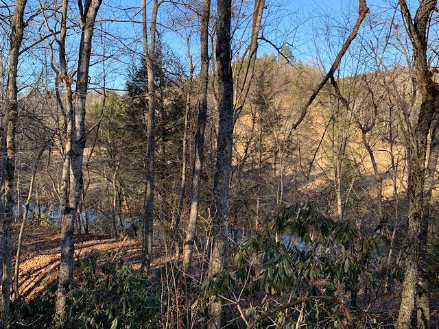 12445 Stafford Road Coeburn, VA 24230 - Photo 27 of 27 Gallery Image 27