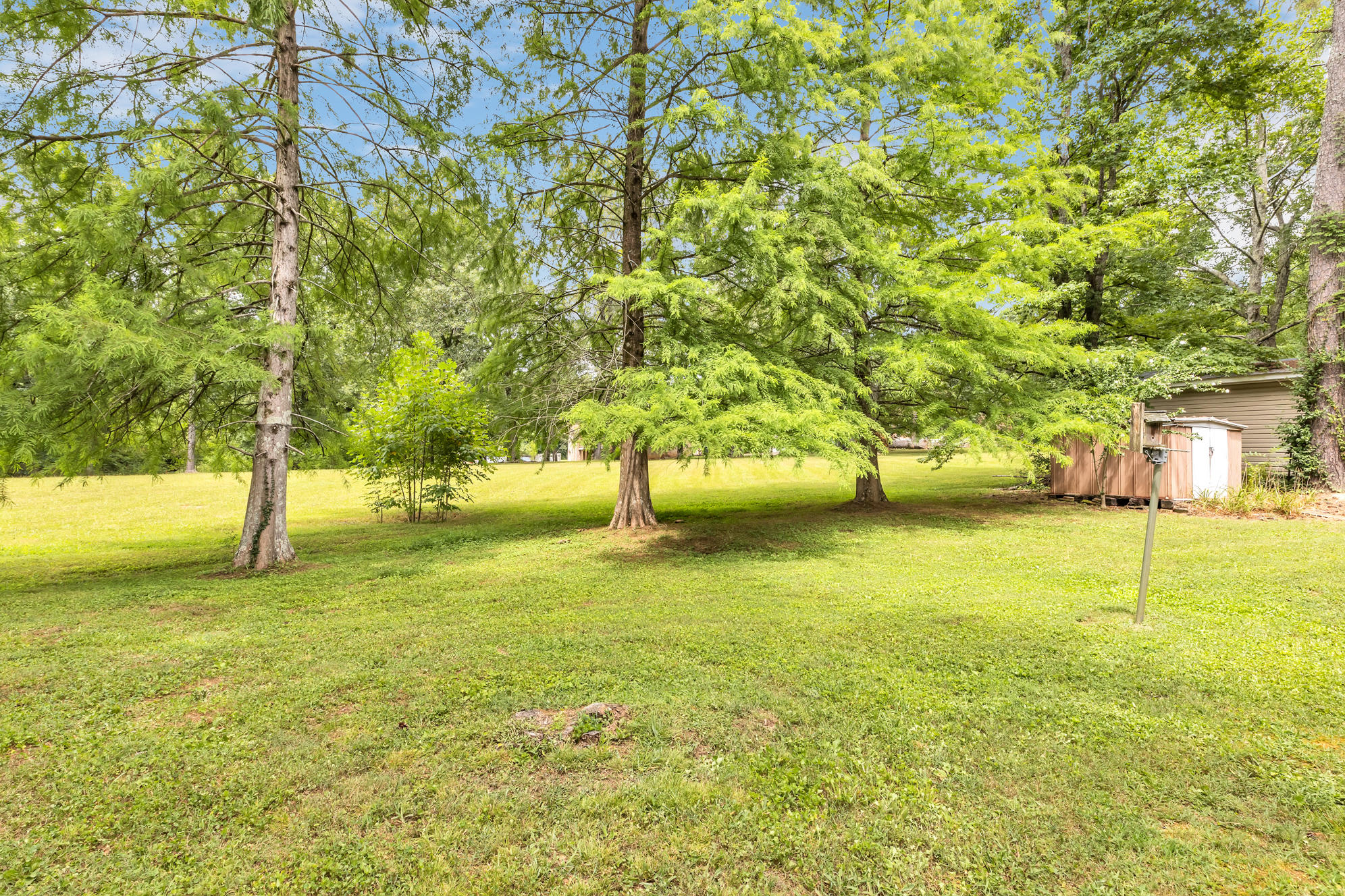 8615 Igou Gap Road Chattanooga, TN 37421 - Photo 6 of 28 ig7