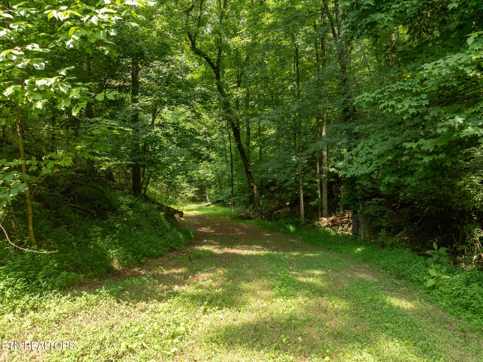 7724 Hodges Ferry Road Knoxville, TN 37920 - Photo 26 of 29 untitled-46