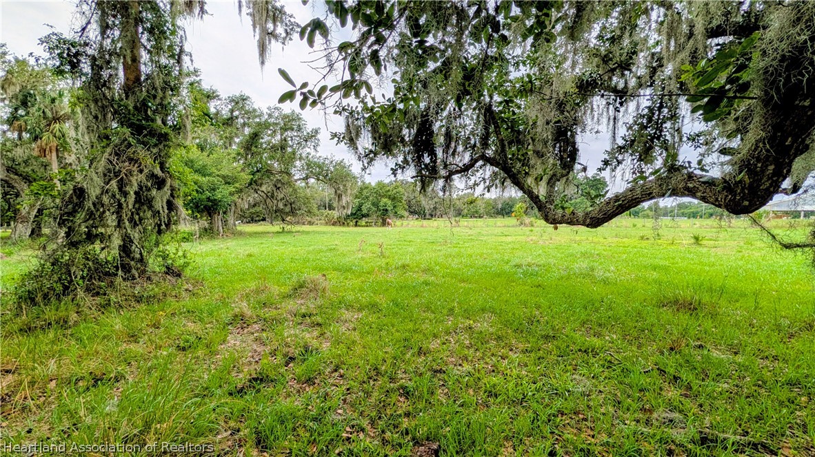 Popash Road Wauchula, FL 33873 - Photo 27 of 29 a view of a big yard with large trees