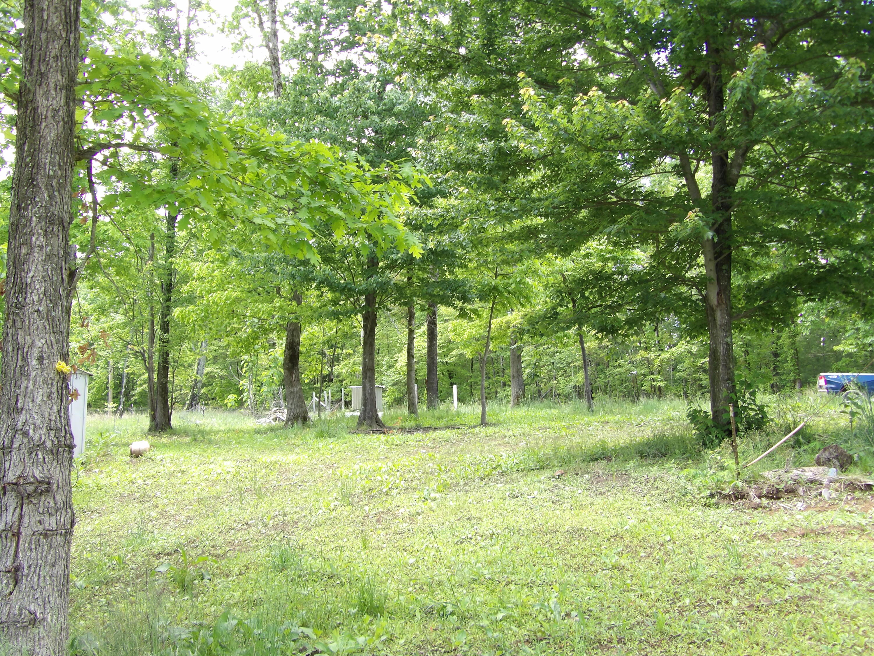 0 Kerley Road Spring City, TN 37381 - Photo 1 of 14 100_2488