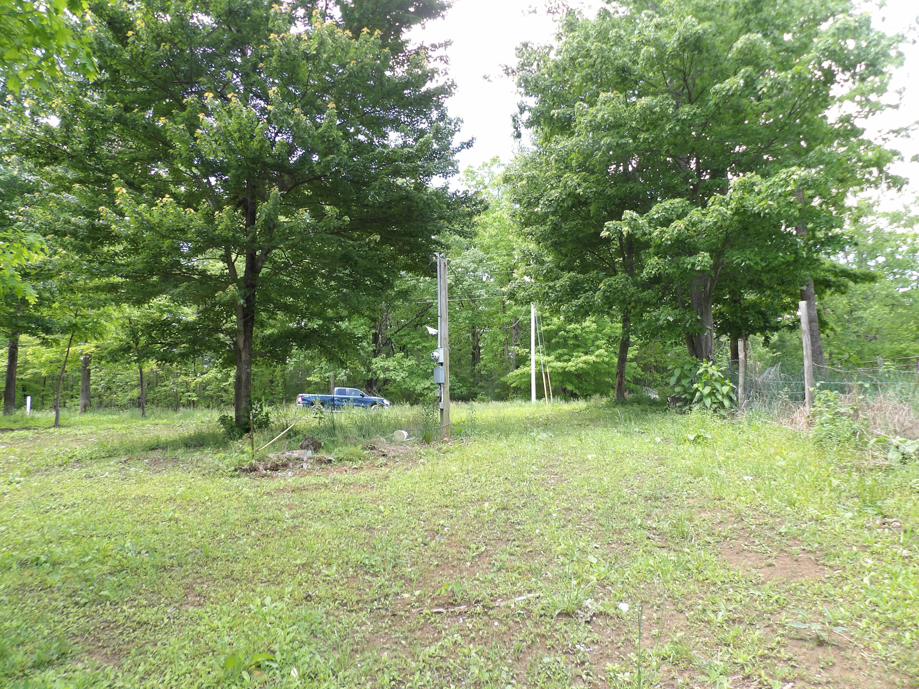 0 Kerley Road Spring City, TN 37381 - Photo 13 of 14 100_2490