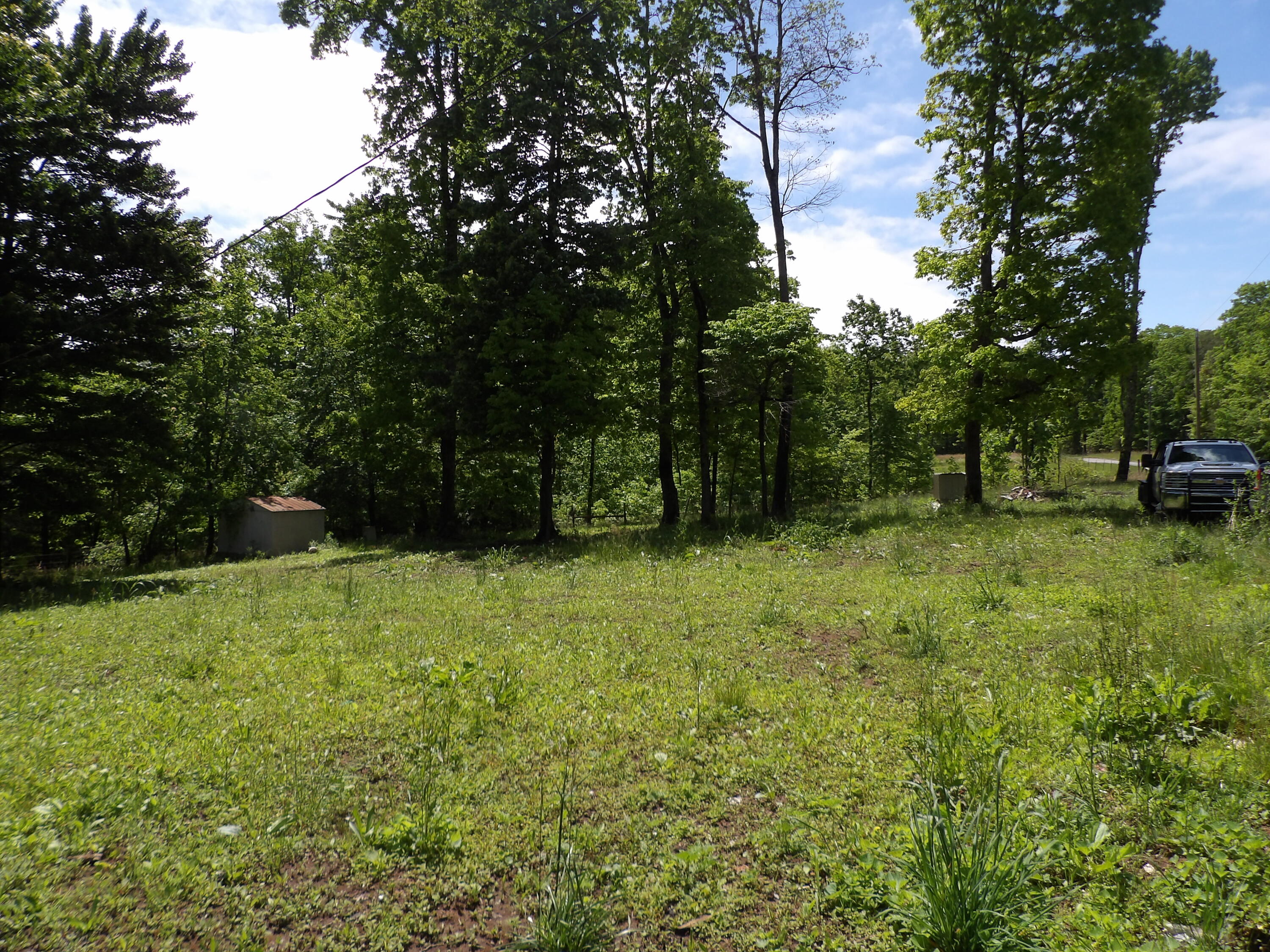 0 Kerley Road Spring City, TN 37381 - Photo 2 of 14 100_2478 - Copy