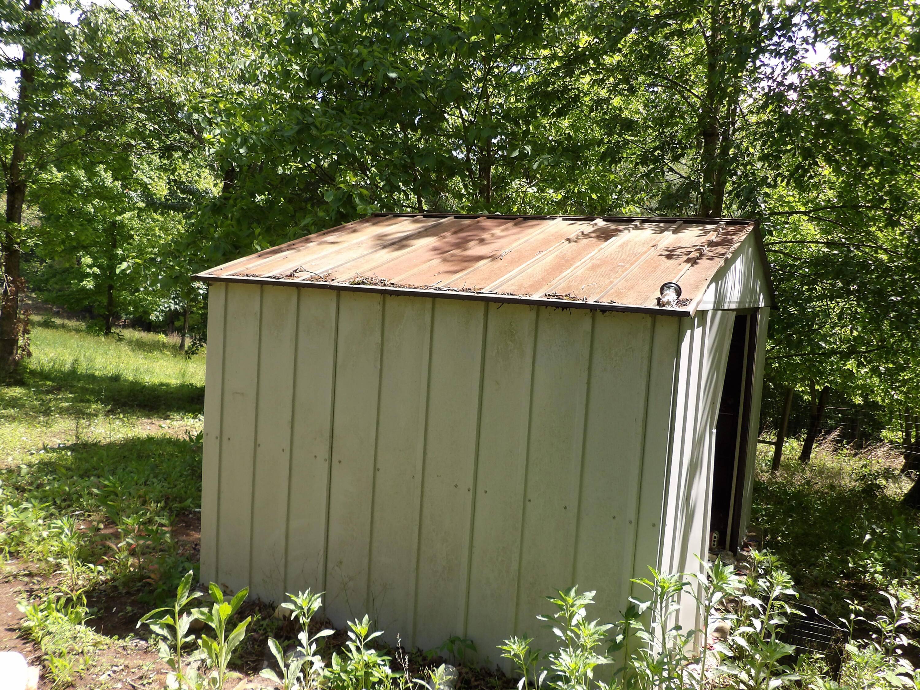 0 Kerley Road Spring City, TN 37381 - Photo 6 of 14 100_2482 - Copy