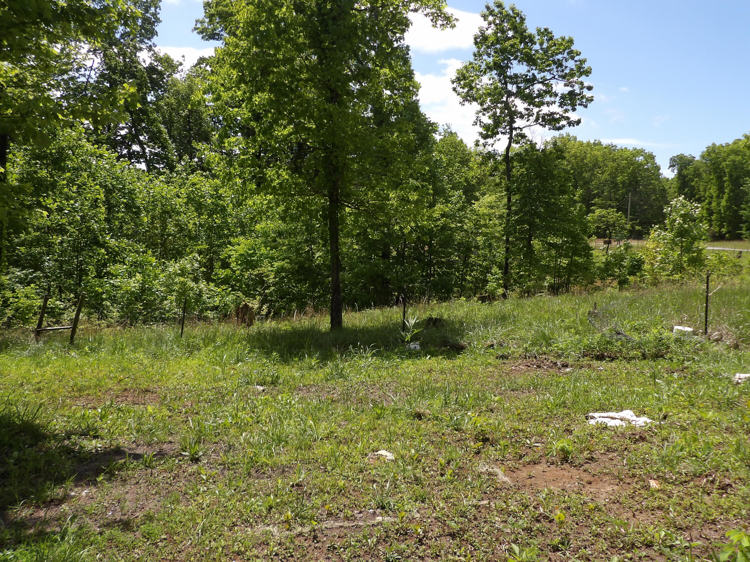 0 Kerley Road Spring City, TN 37381 - Photo 8 of 14 100_2484 - Copy