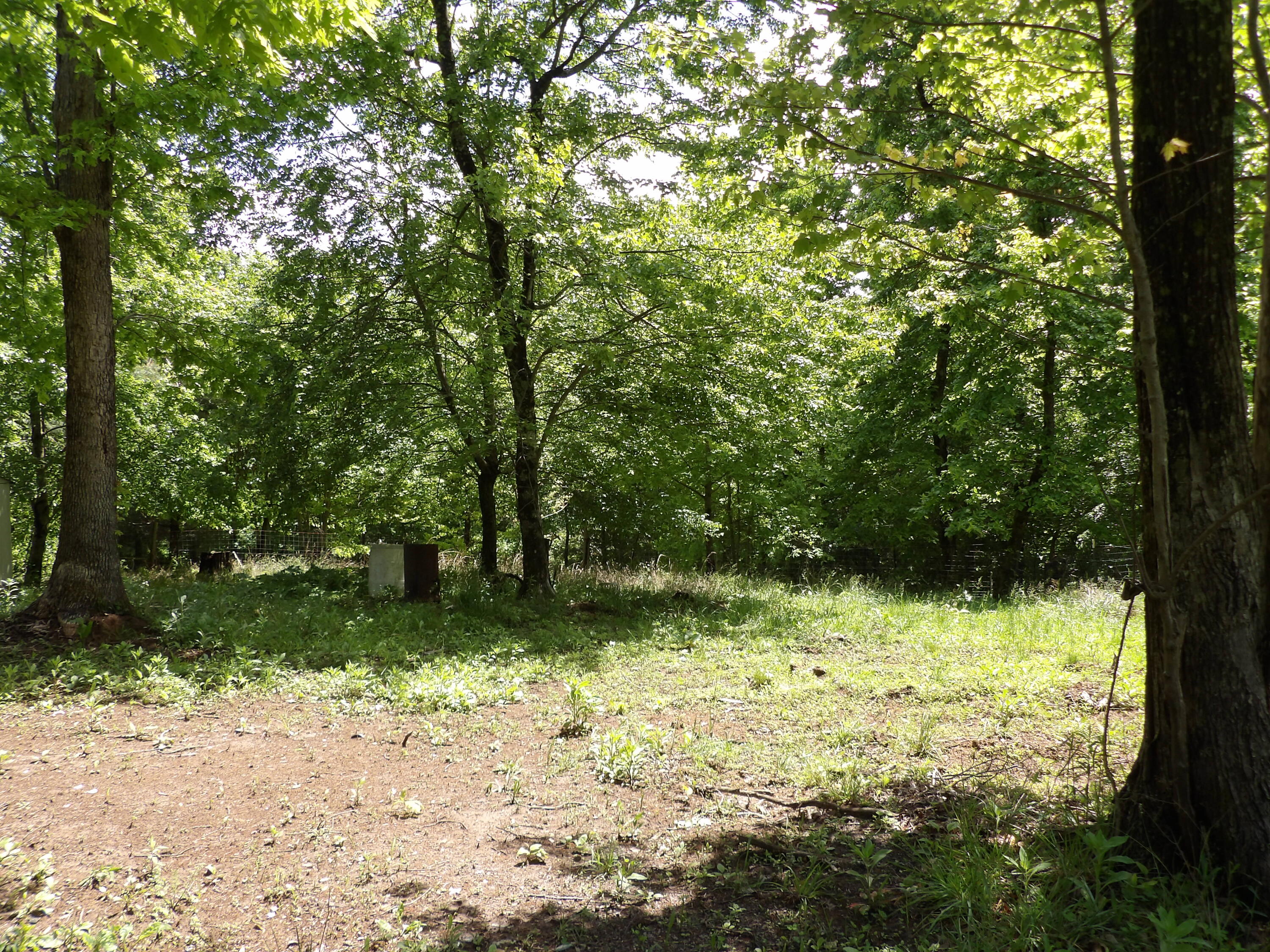 0 Kerley Road Spring City, TN 37381 - Photo 9 of 14 100_2485 - Copy
