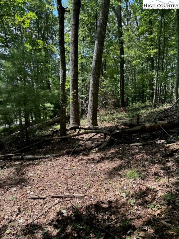 Lot 26 Riverside Drive Sparta, NC 28675 - Photo 1 of 10 Gallery Image 1