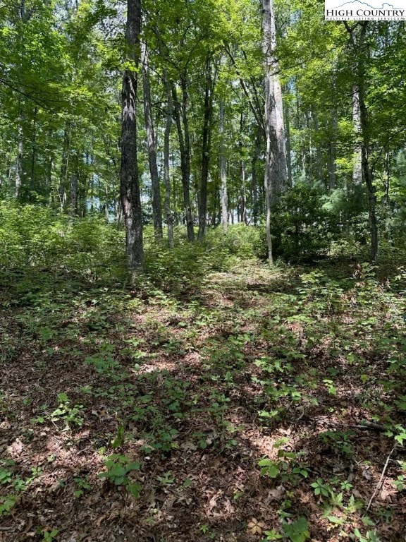 Lot 26 Riverside Drive Sparta, NC 28675 - Photo 2 of 10 Gallery Image 2