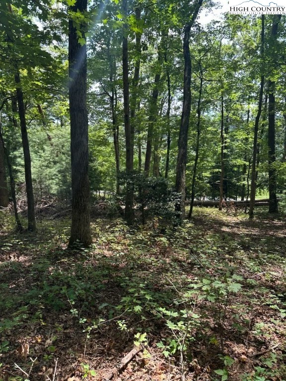 Lot 26 Riverside Drive Sparta, NC 28675 - Photo 3 of 10 Gallery Image 3