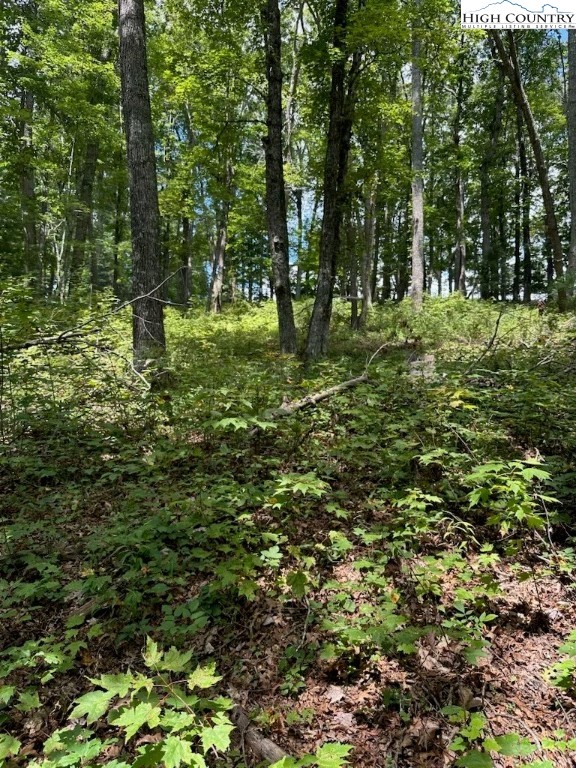 Lot 26 Riverside Drive Sparta, NC 28675 - Photo 4 of 10 Gallery Image 4