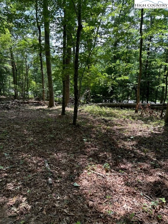 Lot 26 Riverside Drive Sparta, NC 28675 - Photo 5 of 10 Gallery Image 5
