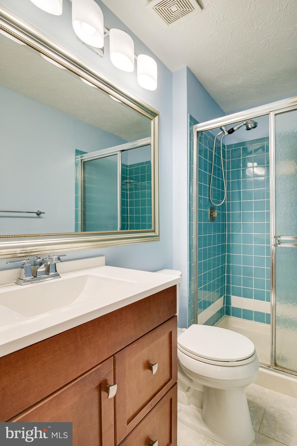 8301 Old Tree Court Springfield, VA 22153 - Photo 24 of 30 Updated ensuite bathroom