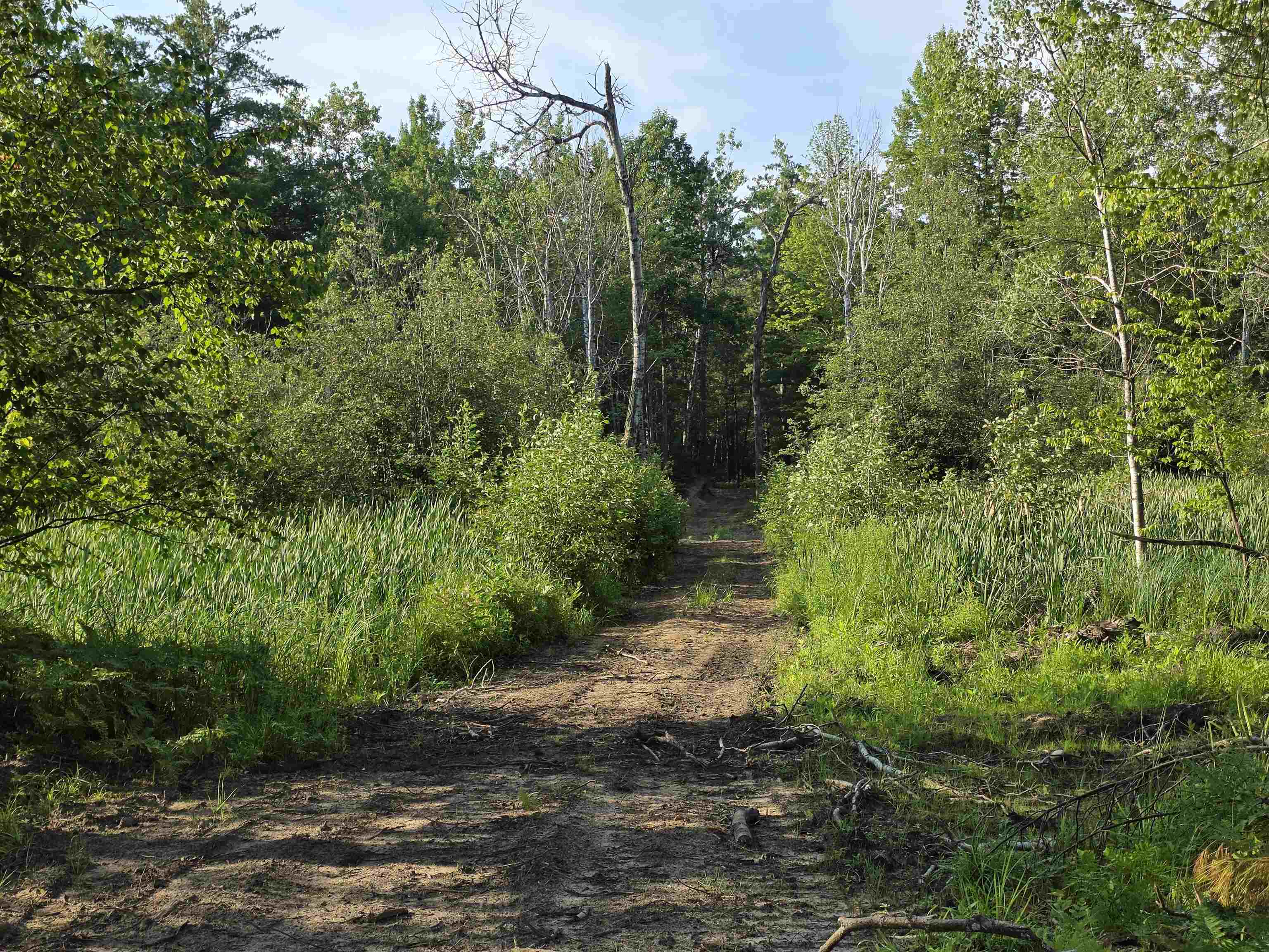 0 Arnold Road Manton, MI 49663 - Photo 44 of 63