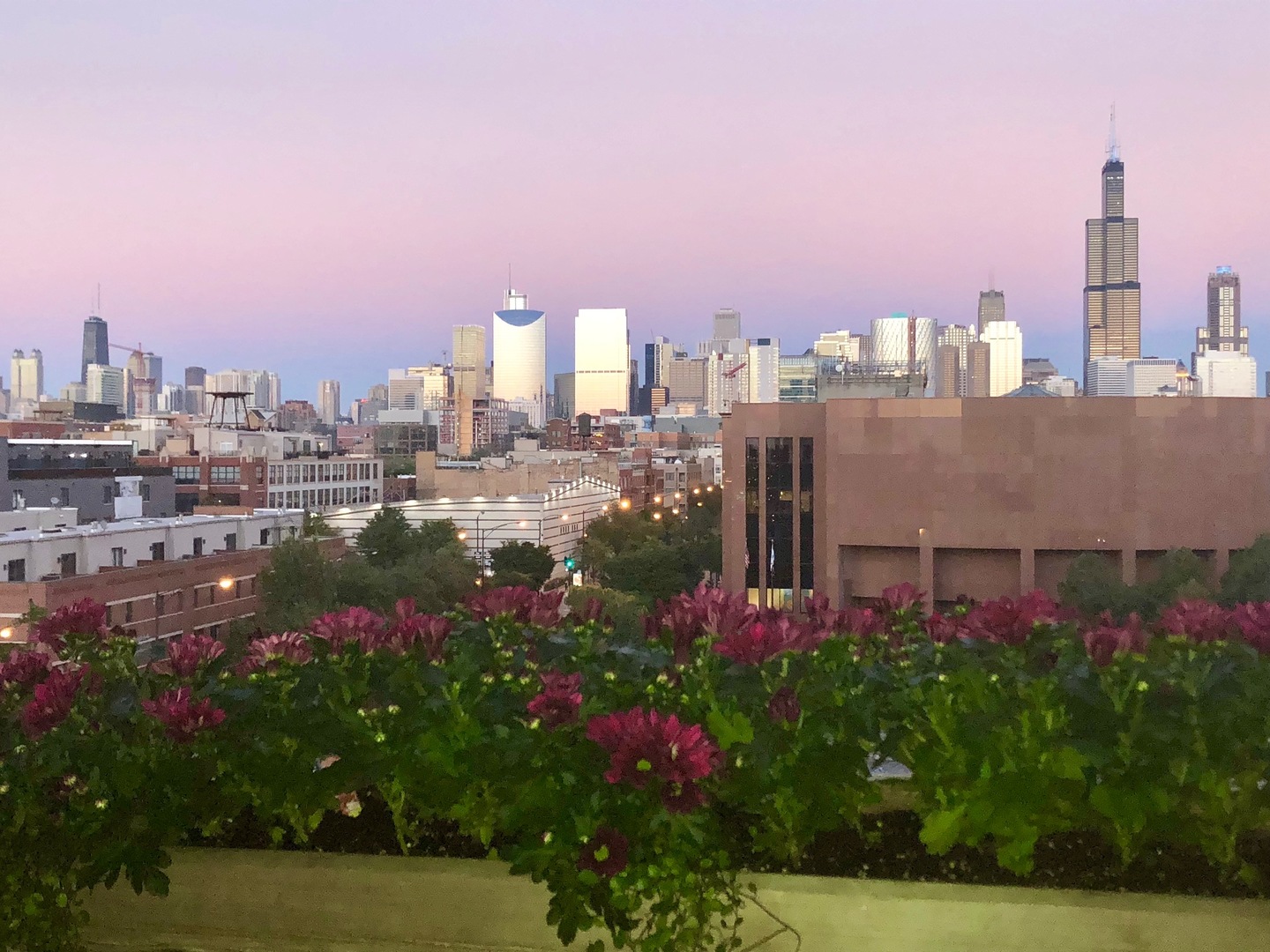 6 South Laflin Street, Unit 607 Chicago, IL 60607 - Photo 23 of 26