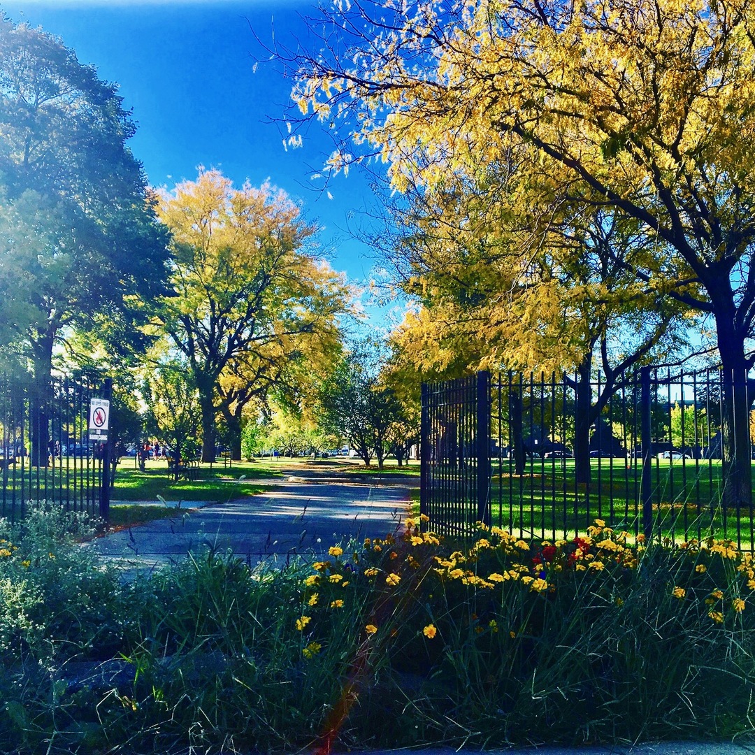 6 South Laflin Street, Unit 607 Chicago, IL 60607 - Photo 25 of 26