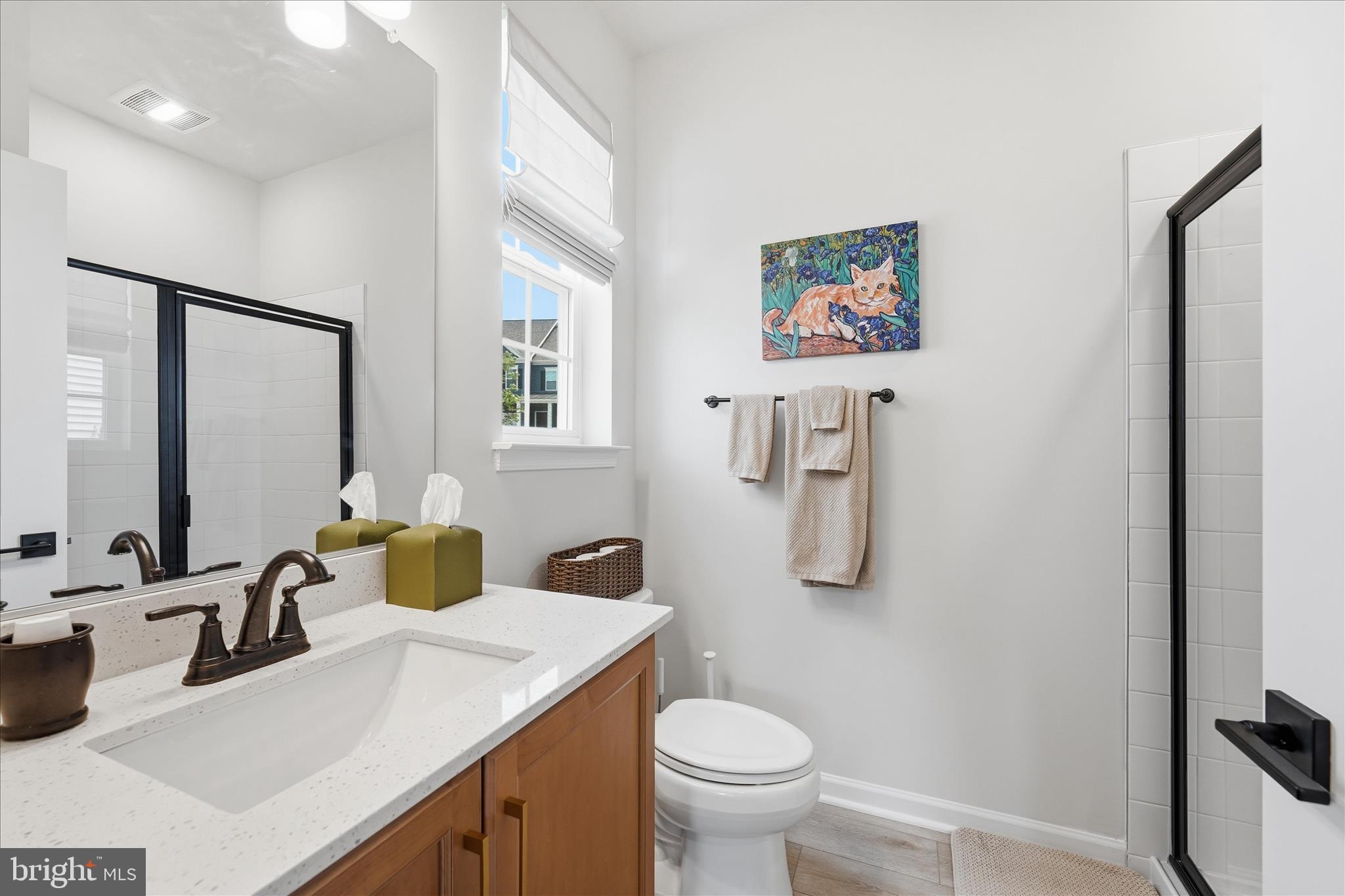 910 Enfield Farm Lane Brunswick, MD 21716 - Photo 28 of 87 Main Level BR Bath