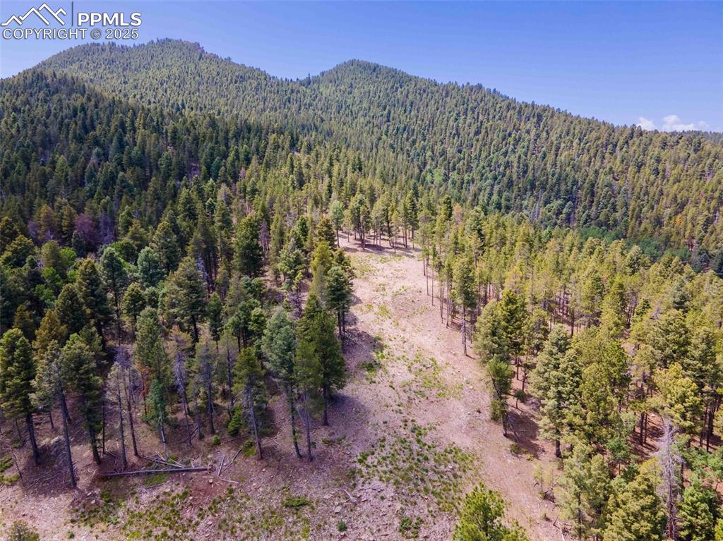 12350 Powhatan Trail Conifer, CO 80433 - Photo 11 of 19 Building envelope