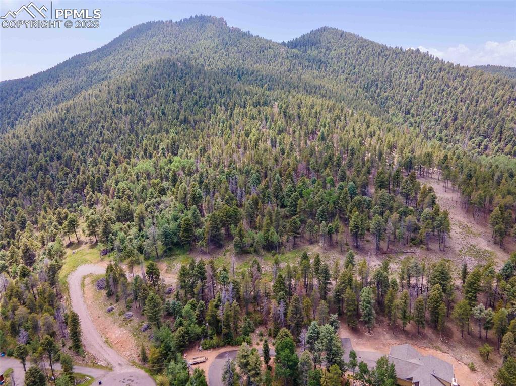 12350 Powhatan Trail Conifer, CO 80433 - Photo 12 of 19 Driveway and cleared building envelopes