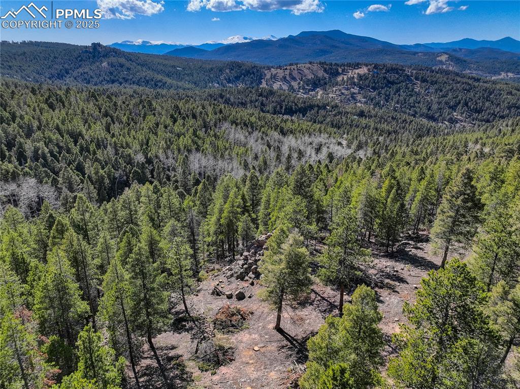 12350 Powhatan Trail Conifer, CO 80433 - Photo 15 of 19