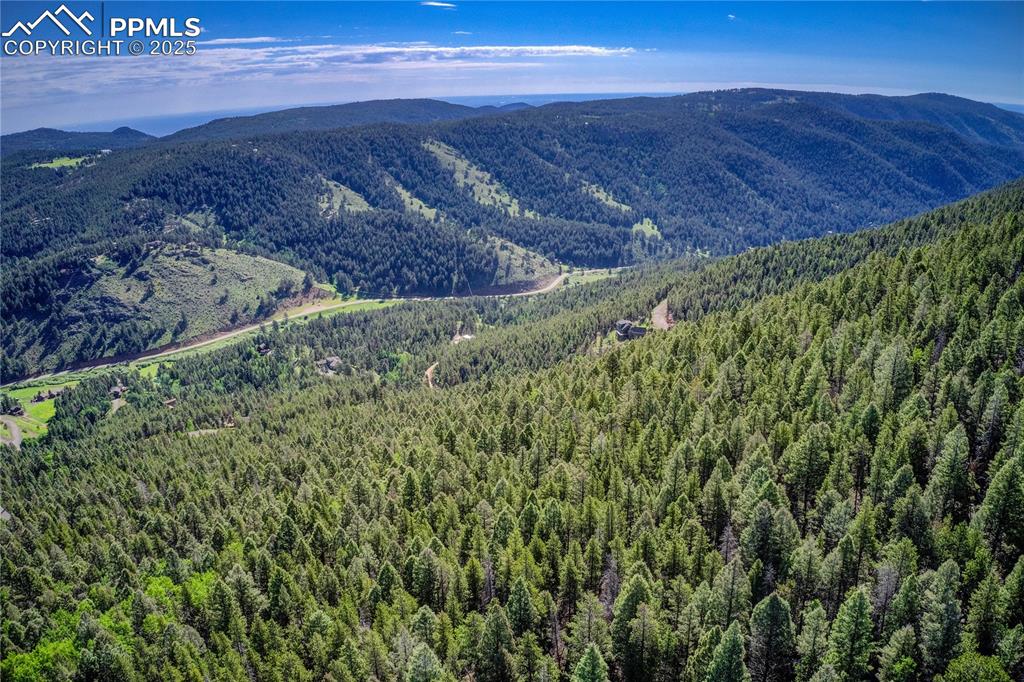 12350 Powhatan Trail Conifer, CO 80433 - Photo 16 of 19