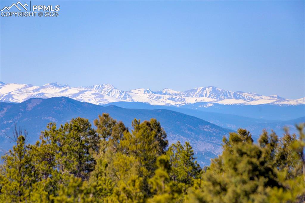 12350 Powhatan Trail Conifer, CO 80433 - Photo 17 of 19