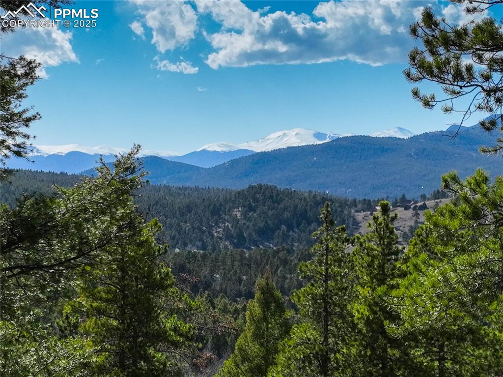12350 Powhatan Trail Conifer, CO 80433 - Photo 2 of 19 Views of Mt Blue Sky and Continental Divide.