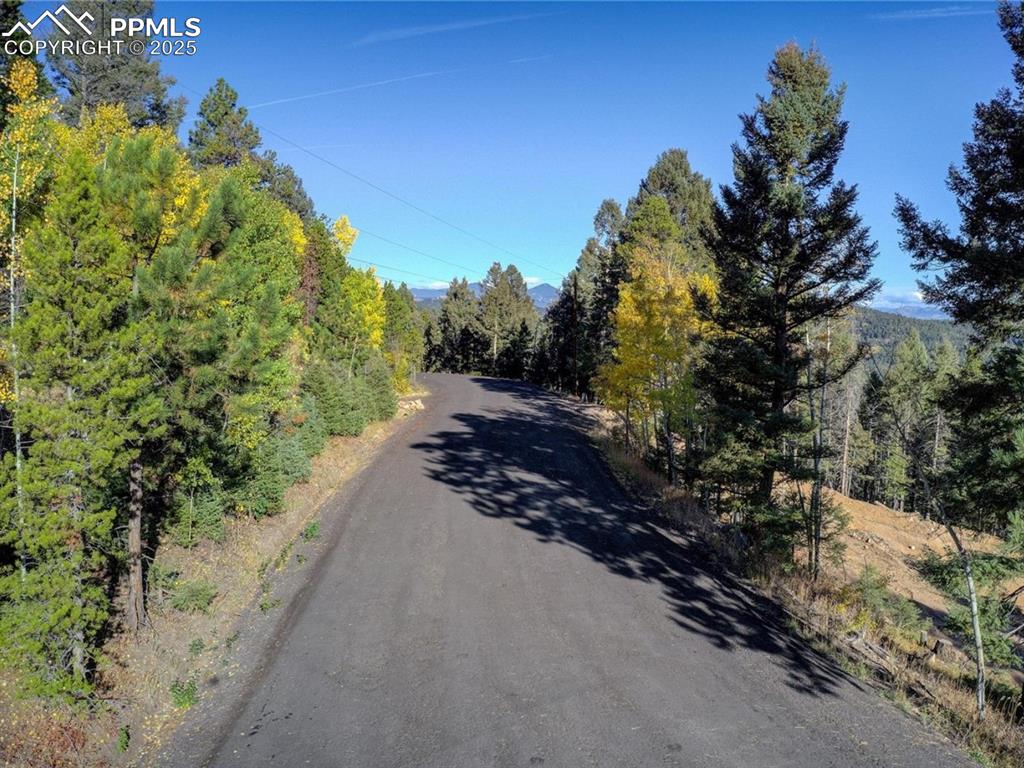 12350 Powhatan Trail Conifer, CO 80433 - Photo 5 of 19 Entryway