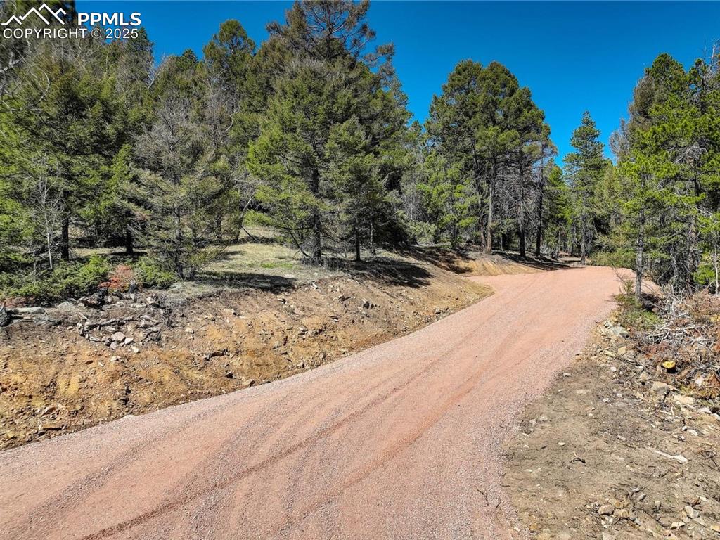 12350 Powhatan Trail Conifer, CO 80433 - Photo 6 of 19 Driveway on Powhatan Tr entrance