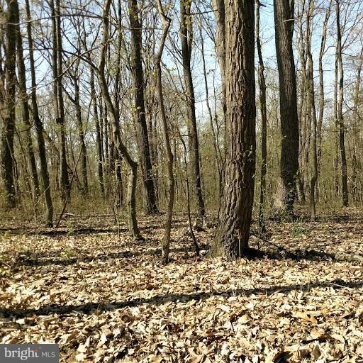 2019 Eden Mill Road Pylesville, MD 21132 - Photo 1 of 3 Beautiful Wooded Lot
