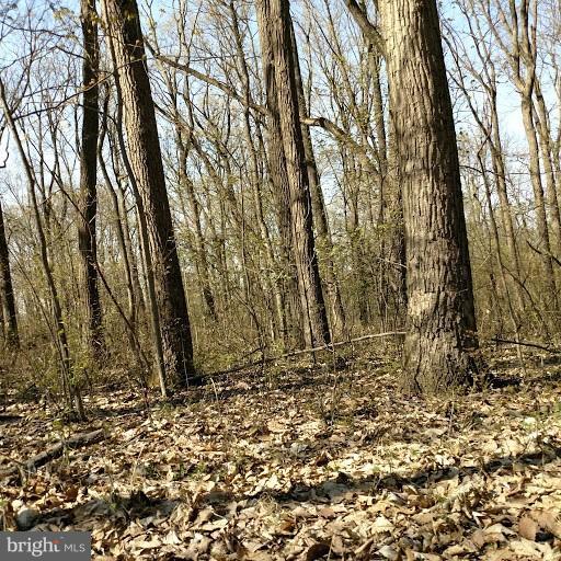 2019 Eden Mill Road Pylesville, MD 21132 - Photo 2 of 3 Beautiful Area
