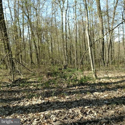 2019 Eden Mill Road Pylesville, MD 21132 - Photo 3 of 3 Gently Sloped Lot