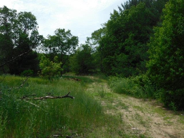 11616 Darragh Road Mancelona, MI 49659 - Photo 12 of 15 Gallery Image 12
