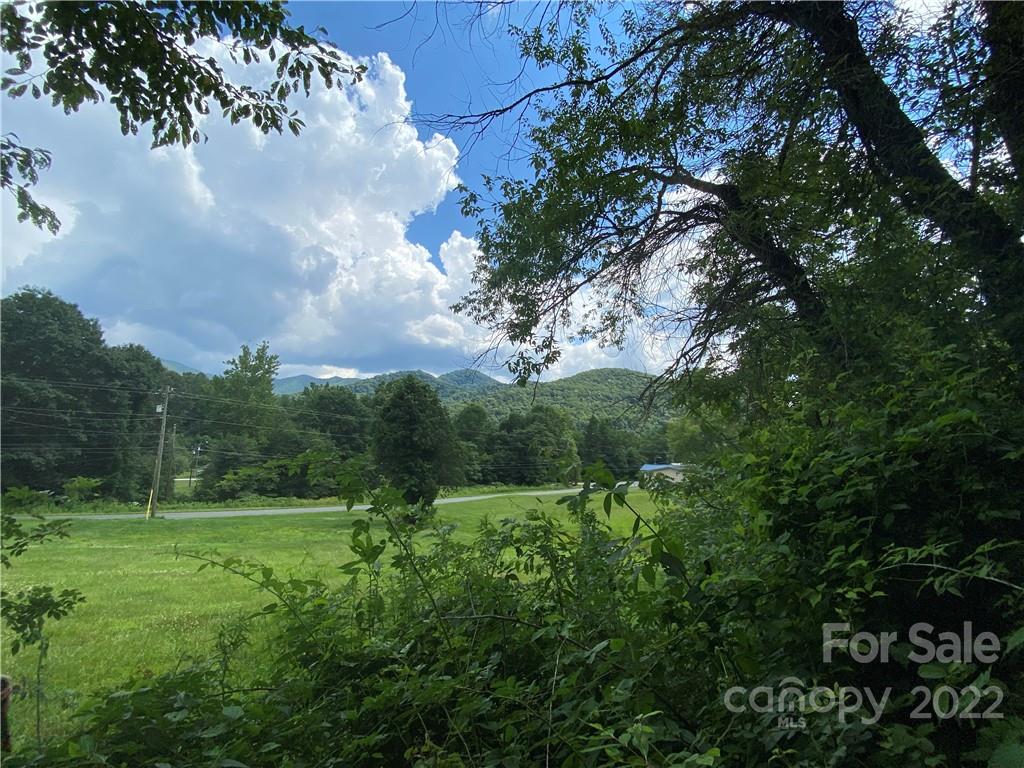 4765 Cane Creek Road Bakersville, NC 28705 - Photo 11 of 34 a view of a green field with lots of bushes