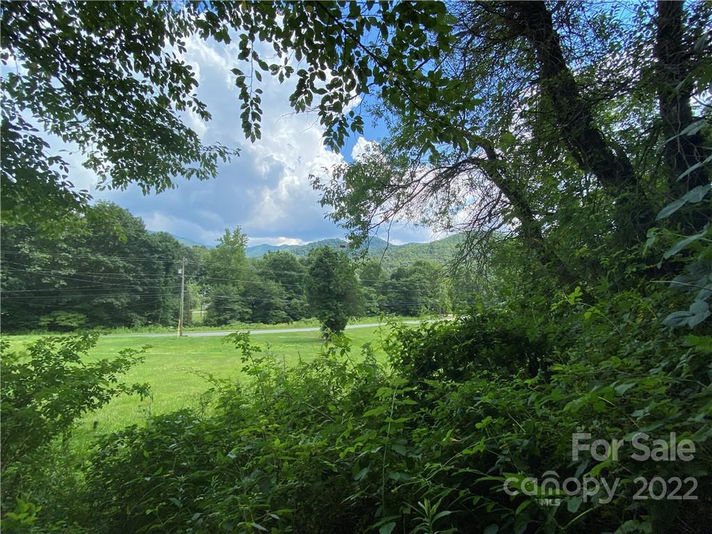 4765 Cane Creek Road Bakersville, NC 28705 - Photo 14 of 34 a view of outdoor space and yard