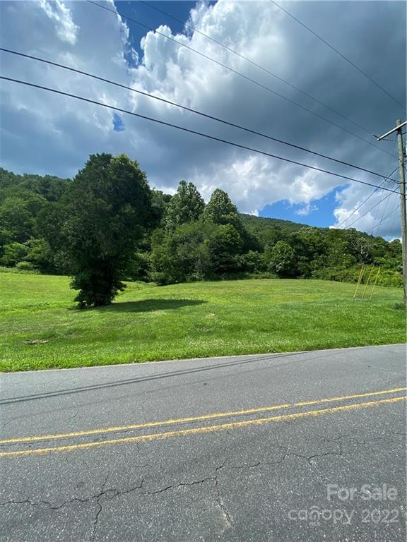4765 Cane Creek Road Bakersville, NC 28705 - Photo 19 of 34 a view of a big yard with potted plants