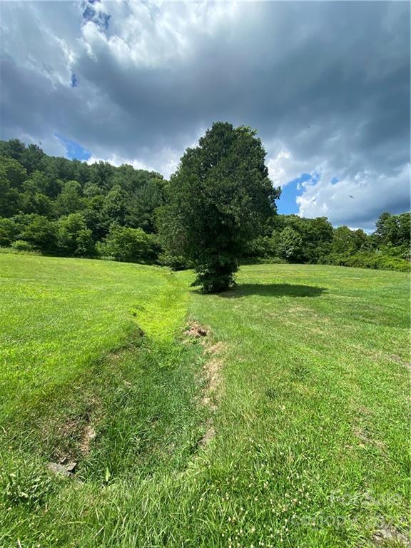 4765 Cane Creek Road Bakersville, NC 28705 - Photo 20 of 34 a view of outdoor space and yard