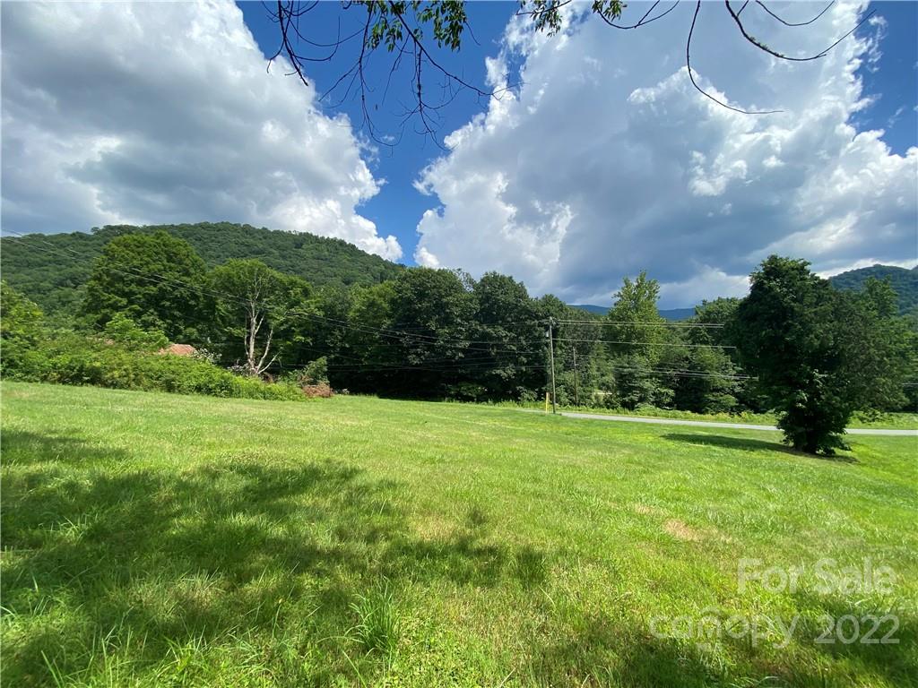 4765 Cane Creek Road Bakersville, NC 28705 - Photo 2 of 34 a view of a big yard with potted plants and a large tree