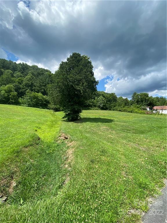 4765 Cane Creek Road Bakersville, NC 28705 - Photo 23 of 34 a view of outdoor space with green field and trees