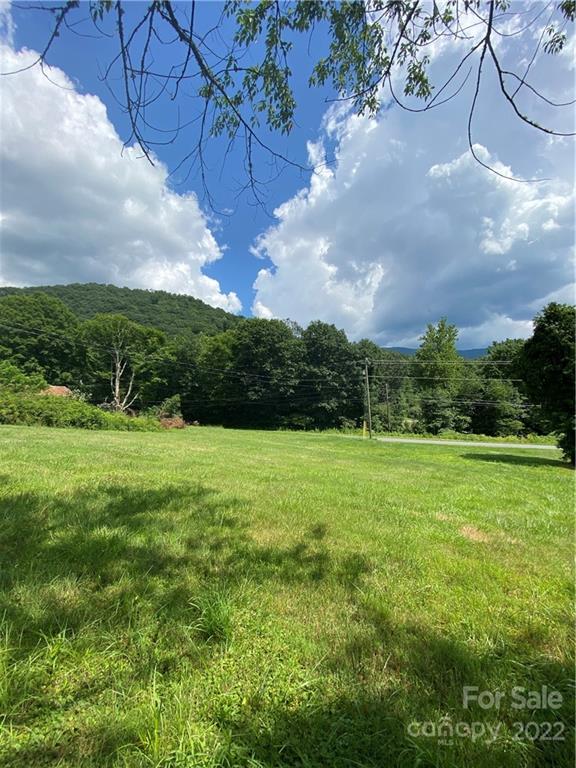 4765 Cane Creek Road Bakersville, NC 28705 - Photo 28 of 34 a view of a big yard with potted plants and large trees