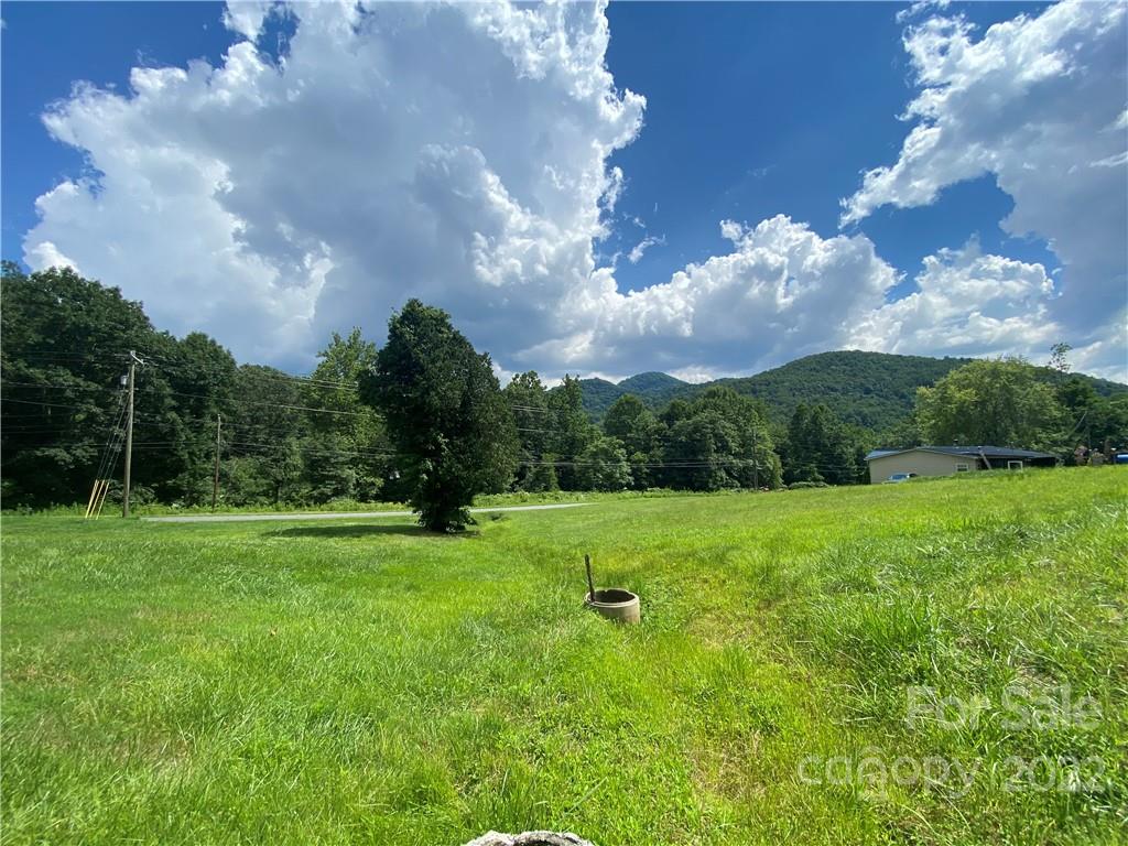 4765 Cane Creek Road Bakersville, NC 28705 - Photo 4 of 34 a backyard of a house with lots of green space