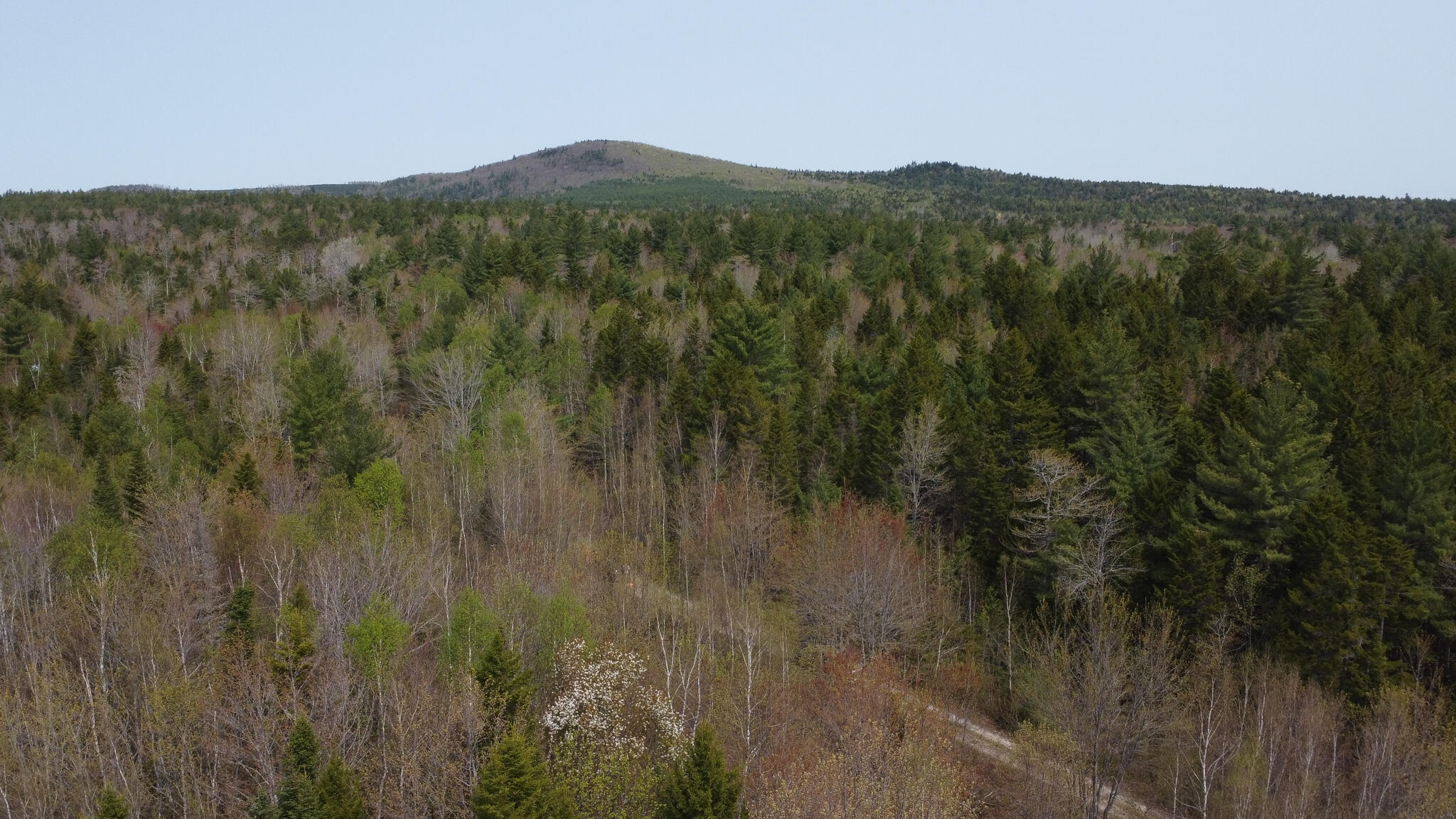 Lot 5 Trickle Brook Road Cherryfield, ME 04622 - Photo 9 of 12 DJI_0072