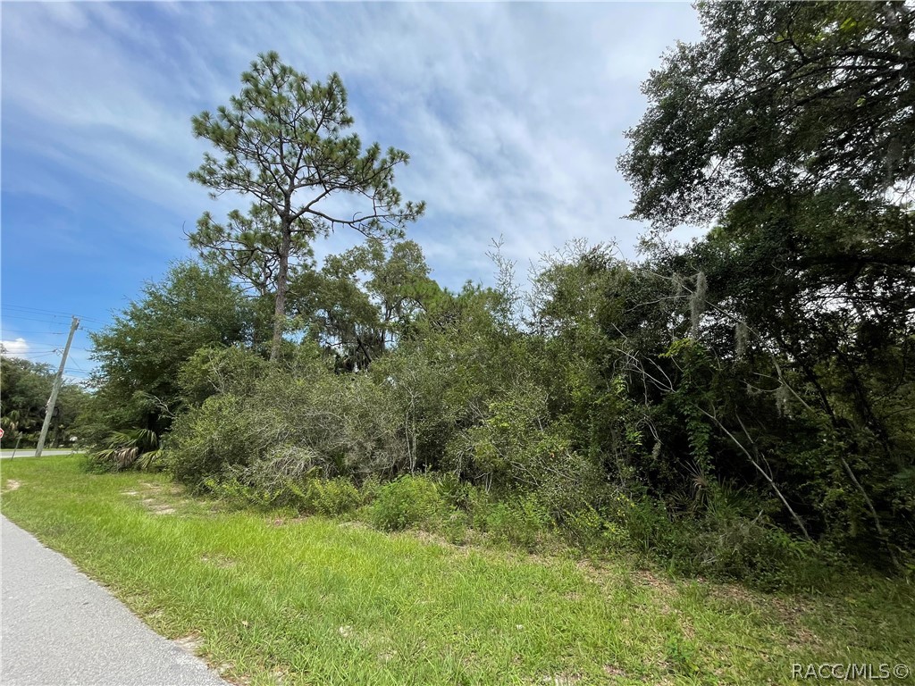 0 West Highway 40 West Inglis, FL 34449 - Photo 4 of 6