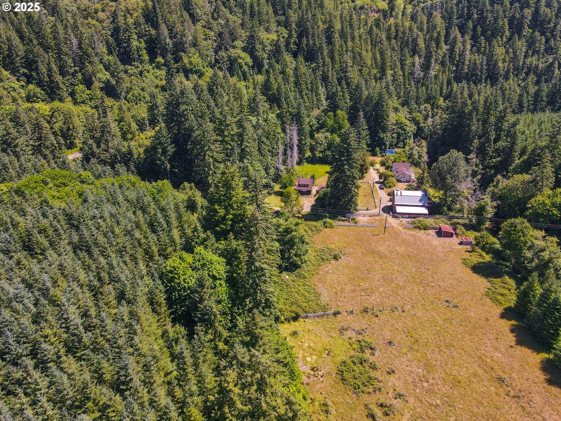 90450 Deadwood Creek Road Deadwood, OR 97430 - Photo 12 of 47 a view of a park with of plants