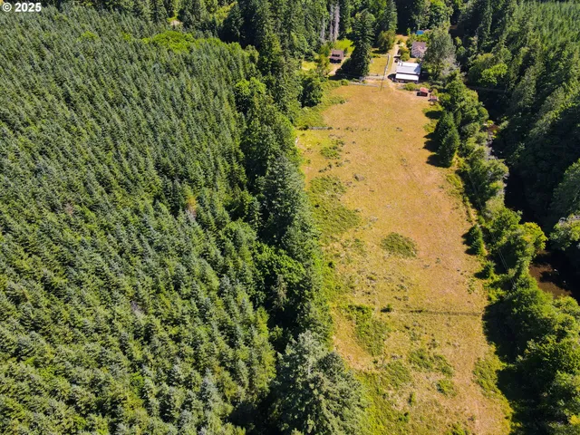 a view of a yard with trees