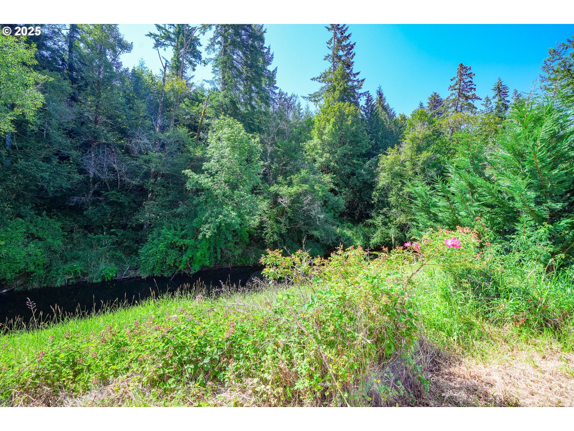 90450 Deadwood Creek Road Deadwood, OR 97430 - Photo 16 of 47 a view of a garden