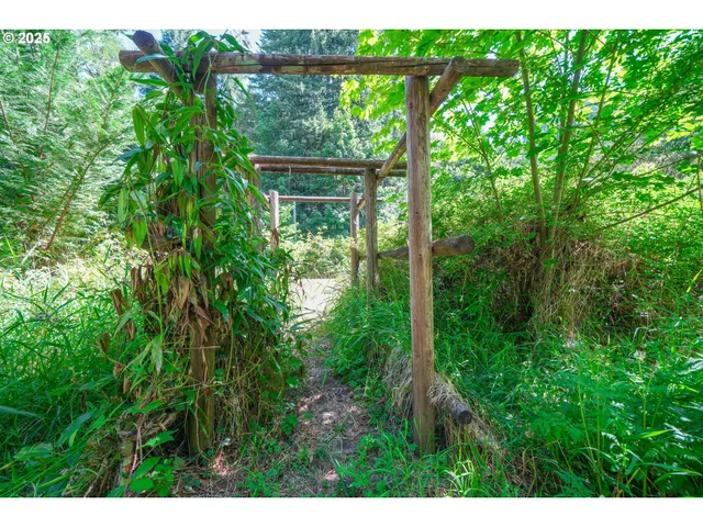 a view of backyard with green space
