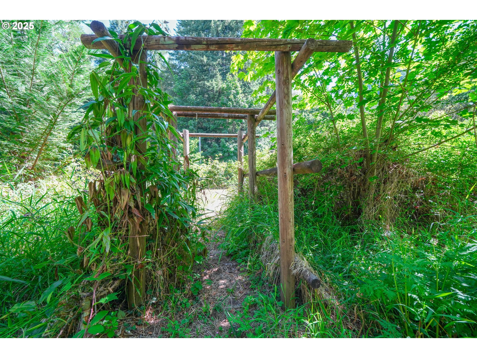 90450 Deadwood Creek Road Deadwood, OR 97430 - Photo 17 of 47 a view of backyard with green space