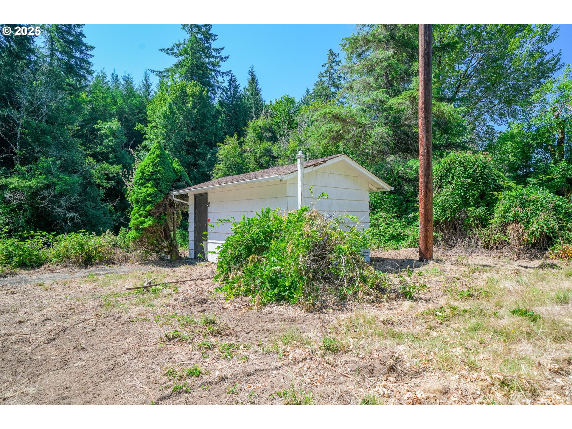 90450 Deadwood Creek Road Deadwood, OR 97430 - Photo 18 of 47 a view of a backyard with plants and large trees