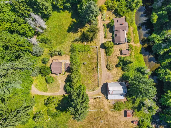 an aerial view of residential house with swimming pool and large trees